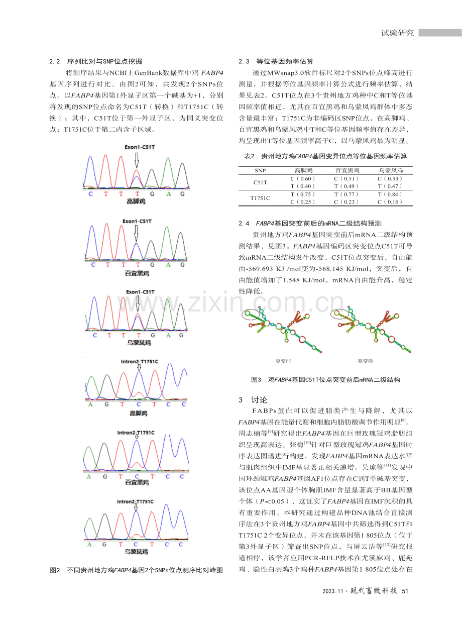 FABP4基因在3个贵州地方鸡种中多态性研究.pdf_第3页