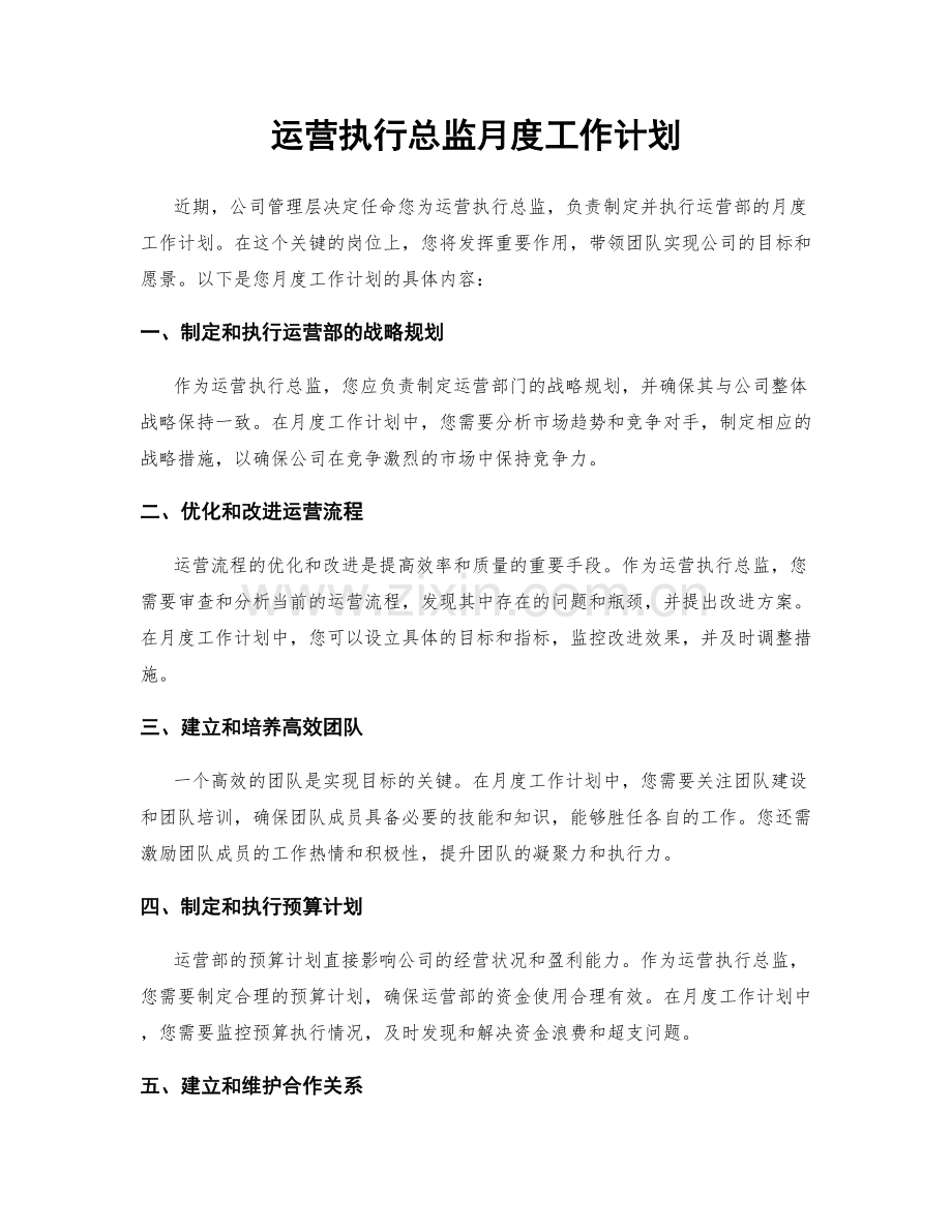 运营执行总监月度工作计划.docx_第1页