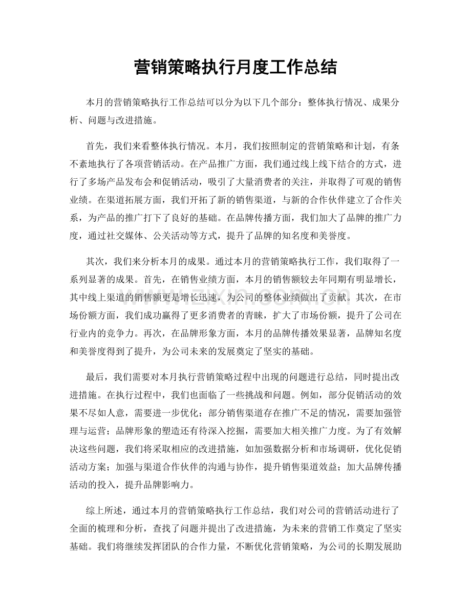 营销策略执行月度工作总结.docx_第1页