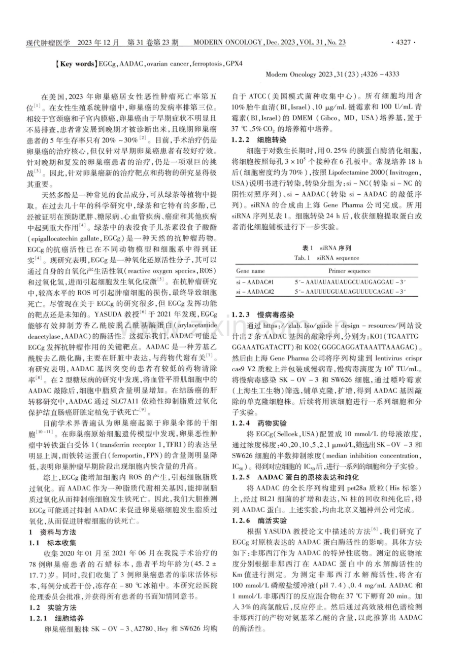 EGCg通过特异性抑制AADAC诱导卵巢癌细胞发生铁死亡.pdf_第2页