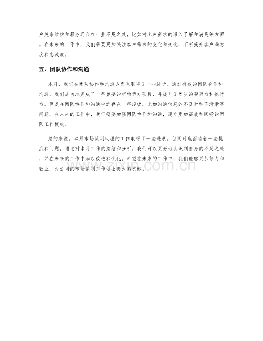 市场策划助理月度工作总结.docx_第2页