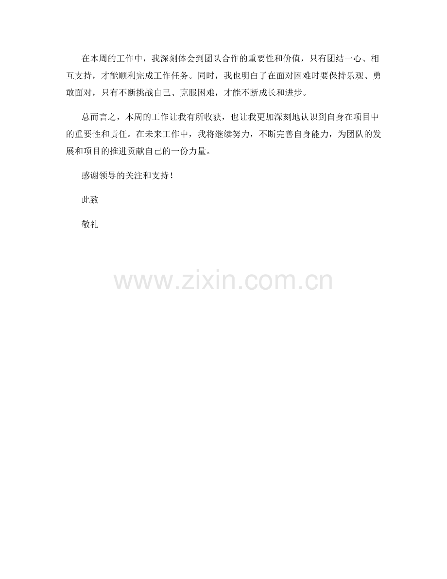 咨询专家周工作总结.docx_第2页