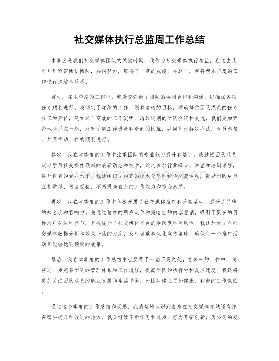 社交媒体执行总监周工作总结.docx_第1页