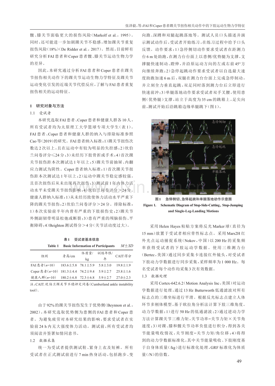 FAI和Coper患者踝关节扭伤相关动作中的下肢运动生物力学特征.pdf_第3页