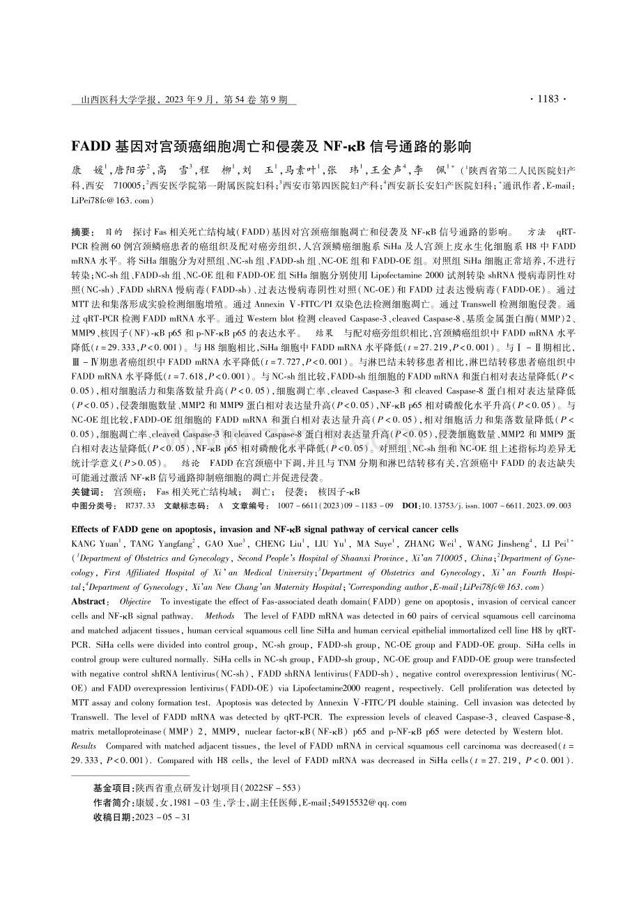 FADD基因对宫颈癌细胞凋亡和侵袭及NF-κB信号通路的影响.pdf_第1页