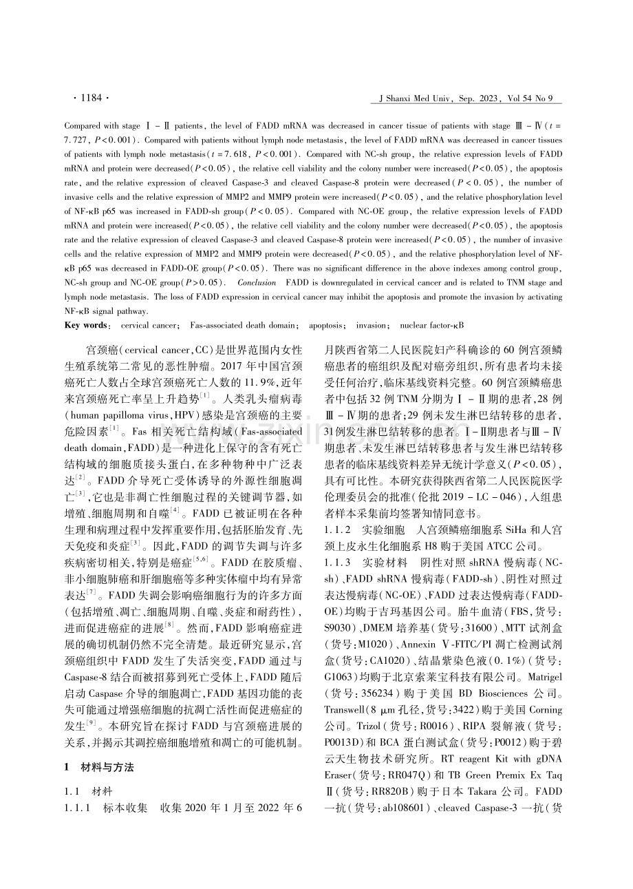 FADD基因对宫颈癌细胞凋亡和侵袭及NF-κB信号通路的影响.pdf_第2页