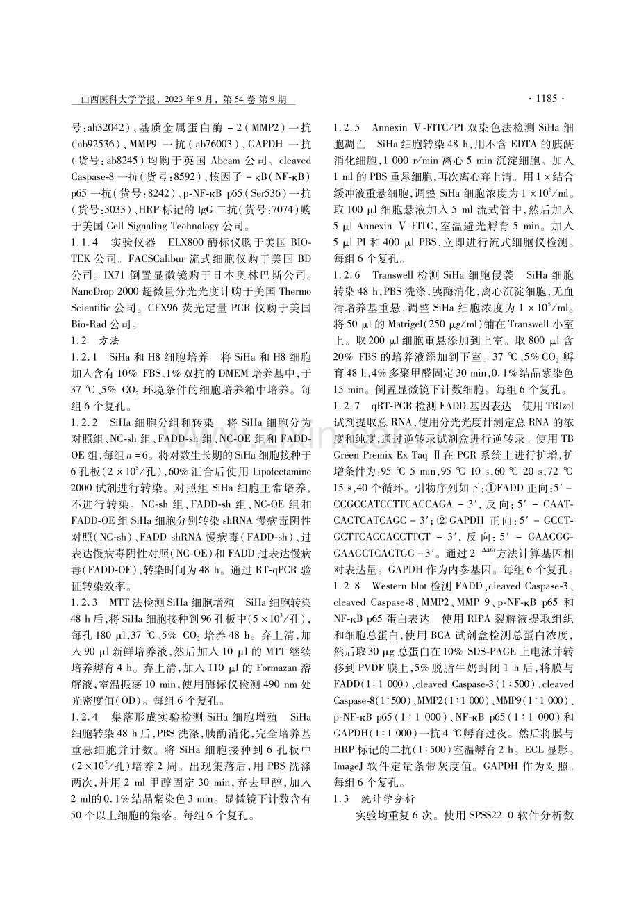 FADD基因对宫颈癌细胞凋亡和侵袭及NF-κB信号通路的影响.pdf_第3页