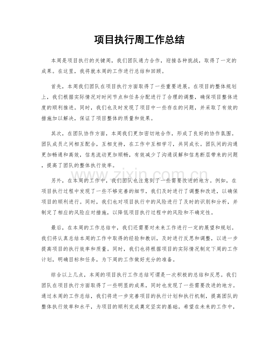 项目执行周工作总结.docx_第1页