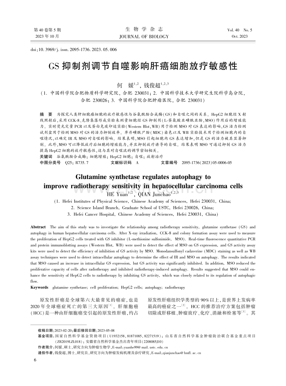 GS抑制剂调节自噬影响肝癌细胞放疗敏感性.pdf_第1页