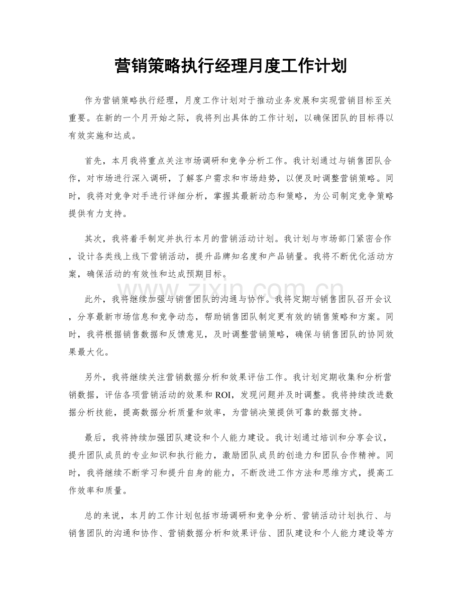 营销策略执行经理月度工作计划.docx_第1页