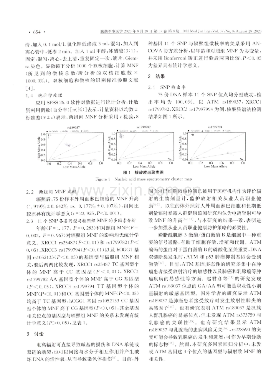 DNA修复相关基因SNP与辐射致离体血微核率的相关性研究.pdf_第3页