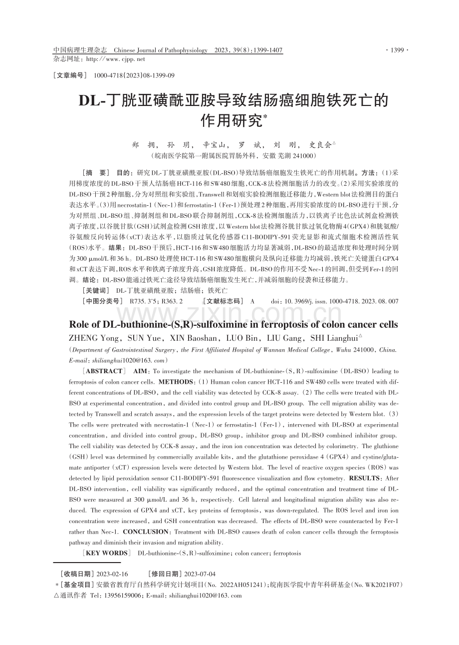 DL-丁胱亚磺酰亚胺导致结肠癌细胞铁死亡的作用研究.pdf_第1页