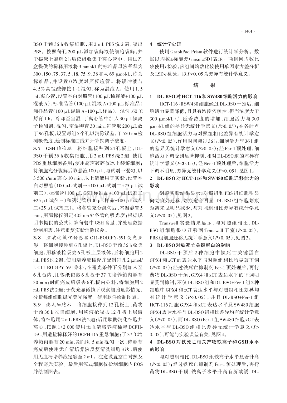 DL-丁胱亚磺酰亚胺导致结肠癌细胞铁死亡的作用研究.pdf_第3页