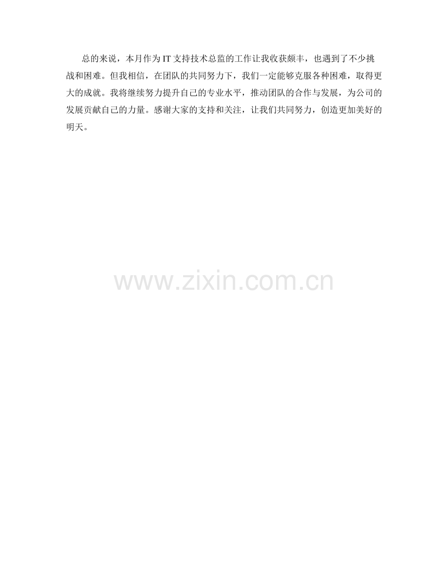 IT支持技术总监月度工作总结.docx_第2页