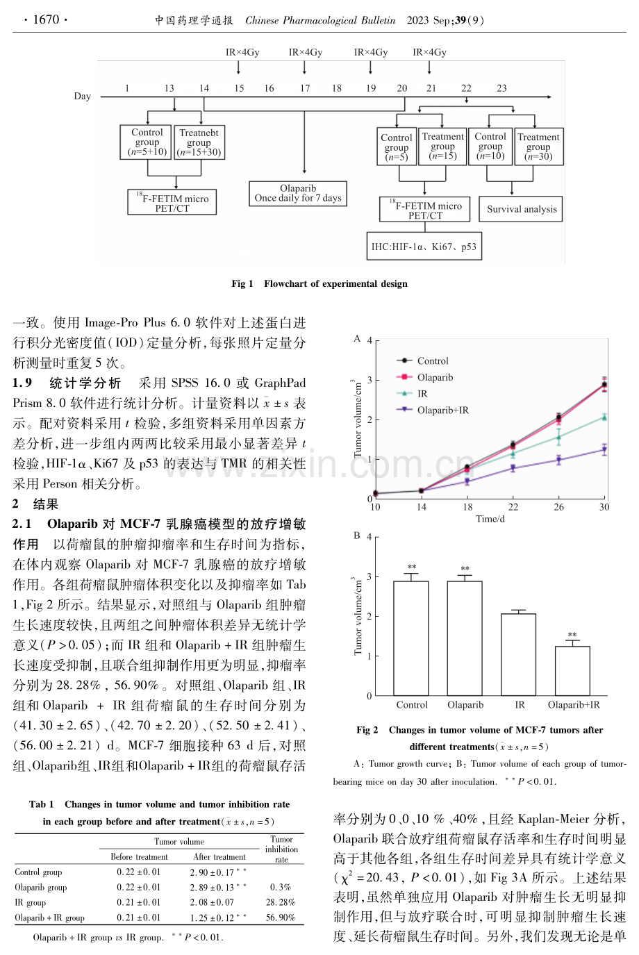 PARP-1抑制剂Olaparib对MCF-7乳腺癌的放疗增敏作用及乏氧显像.pdf_第3页