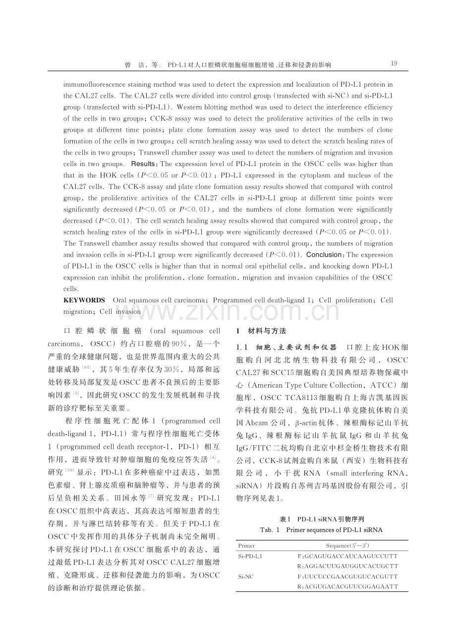 PD-L1对人口腔鳞状细胞癌细胞增殖、迁移和侵袭的影响.pdf_第2页