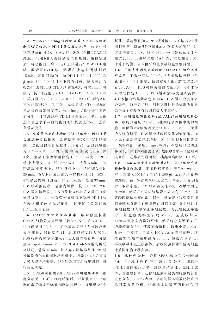 PD-L1对人口腔鳞状细胞癌细胞增殖、迁移和侵袭的影响.pdf_第3页