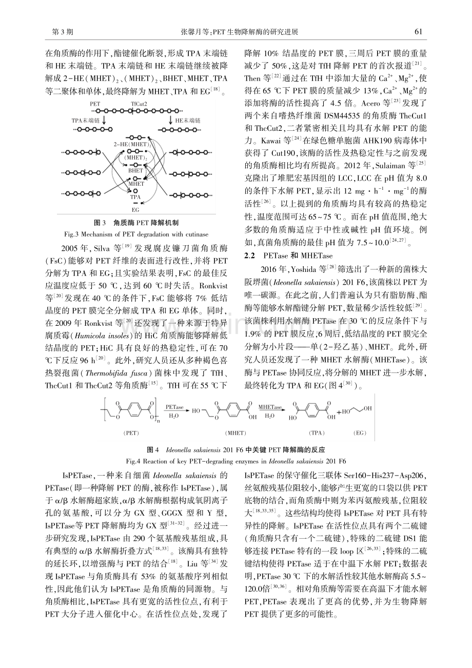 PET生物降解酶的研究进展.pdf_第3页