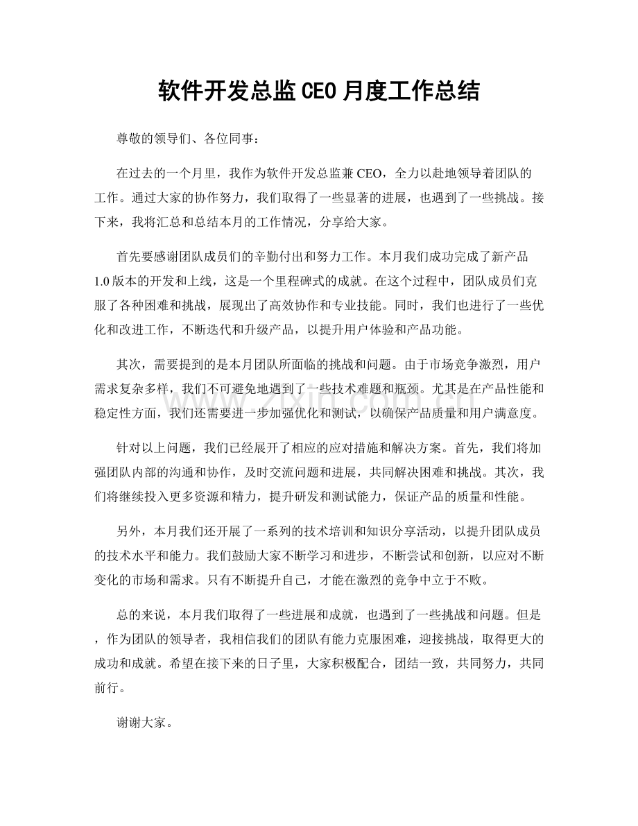 软件开发总监CEO月度工作总结.docx_第1页