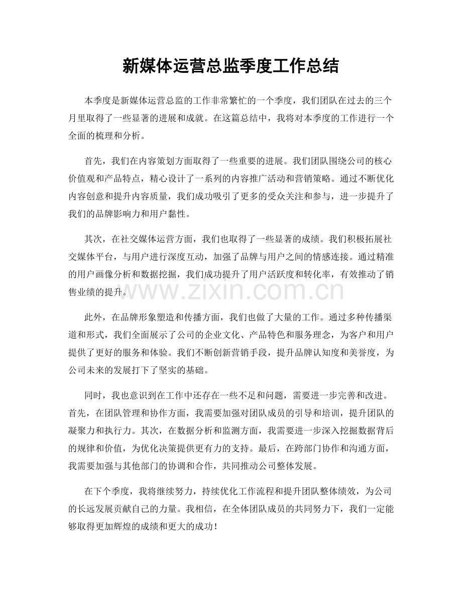 新媒体运营总监季度工作总结.docx_第1页