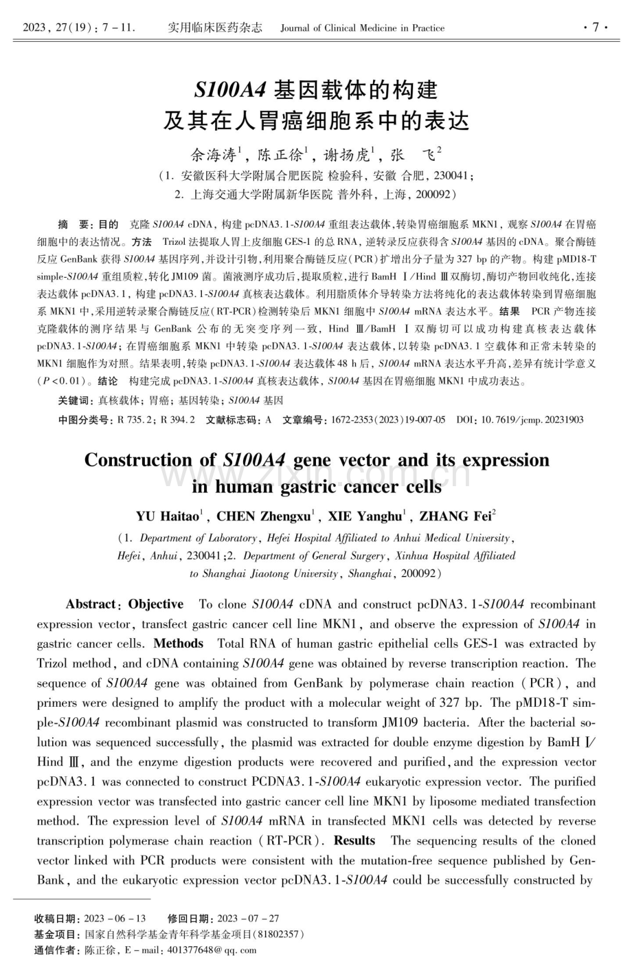 S100A4基因载体的构建及其在人胃癌细胞系中的表达.pdf_第1页