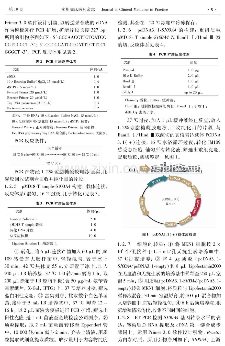 S100A4基因载体的构建及其在人胃癌细胞系中的表达.pdf_第3页