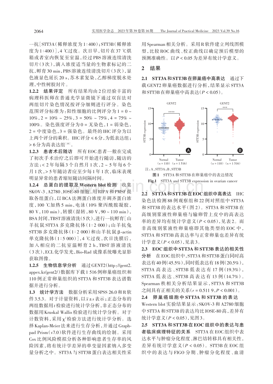 STT3A和STT3B在上皮性卵巢癌中的表达及与预后的关系.pdf_第3页