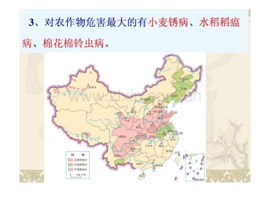 中国的生物灾害生物学自然科学专业资料.pptx_第3页