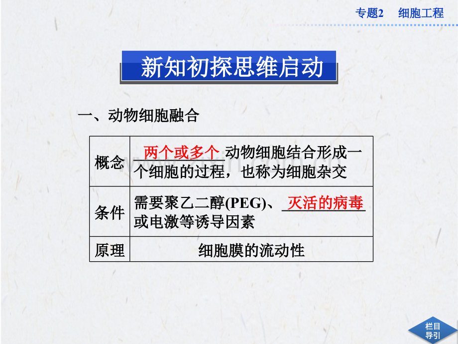 高中生物同步：222动物细胞融合与单克隆抗体新人教版选修.pptx_第2页