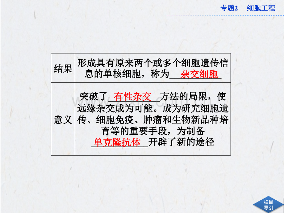 高中生物同步：222动物细胞融合与单克隆抗体新人教版选修.pptx_第3页