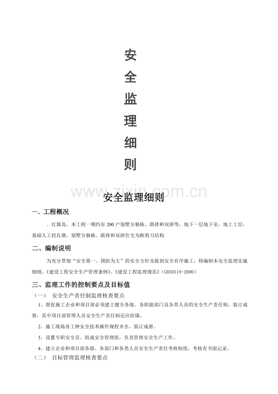 安全监理细则doc.docx_第1页