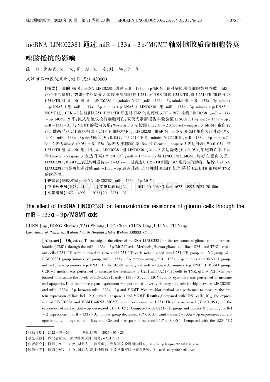 lncRNA LINC02381通过miR-133a-3p_MGMT轴对脑胶质瘤细胞替莫唑胺抵抗的影响.pdf_第1页