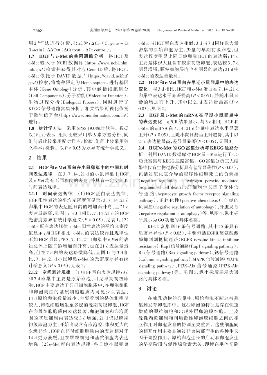 HGF_c-Met信号通路与小鼠早期卵泡发育的相关性研究.pdf_第3页