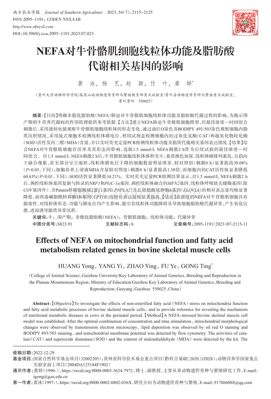 NEFA对牛骨骼肌细胞线粒体功能及脂肪酸代谢相关基因的影响.pdf_第1页