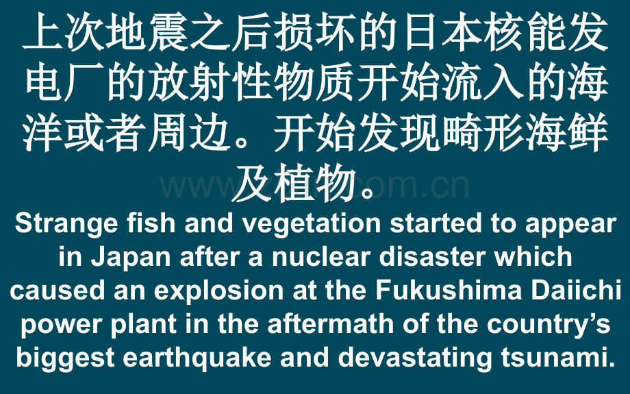 从现在开始千万不要饮食日本的海鲜或生鱼片.pptx_第2页