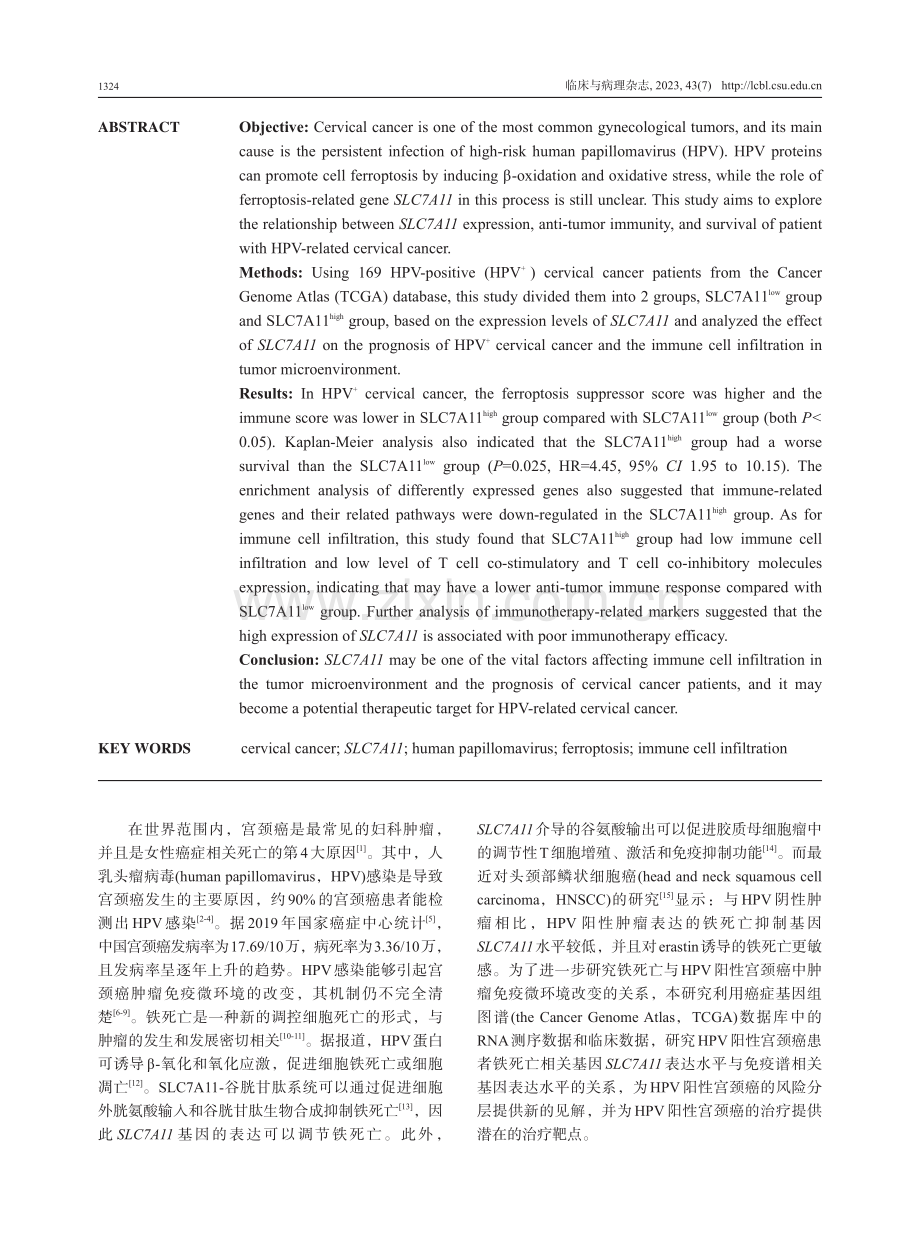 SLC7A11对HPV阳性宫颈癌患者免疫应答和生存的影响.pdf_第2页