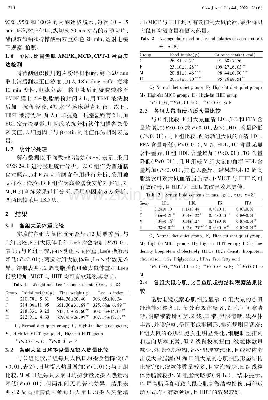 MICT_HIIT对高脂膳食大鼠心肌和比目鱼肌超微结构的影响及机制探讨.pdf_第3页