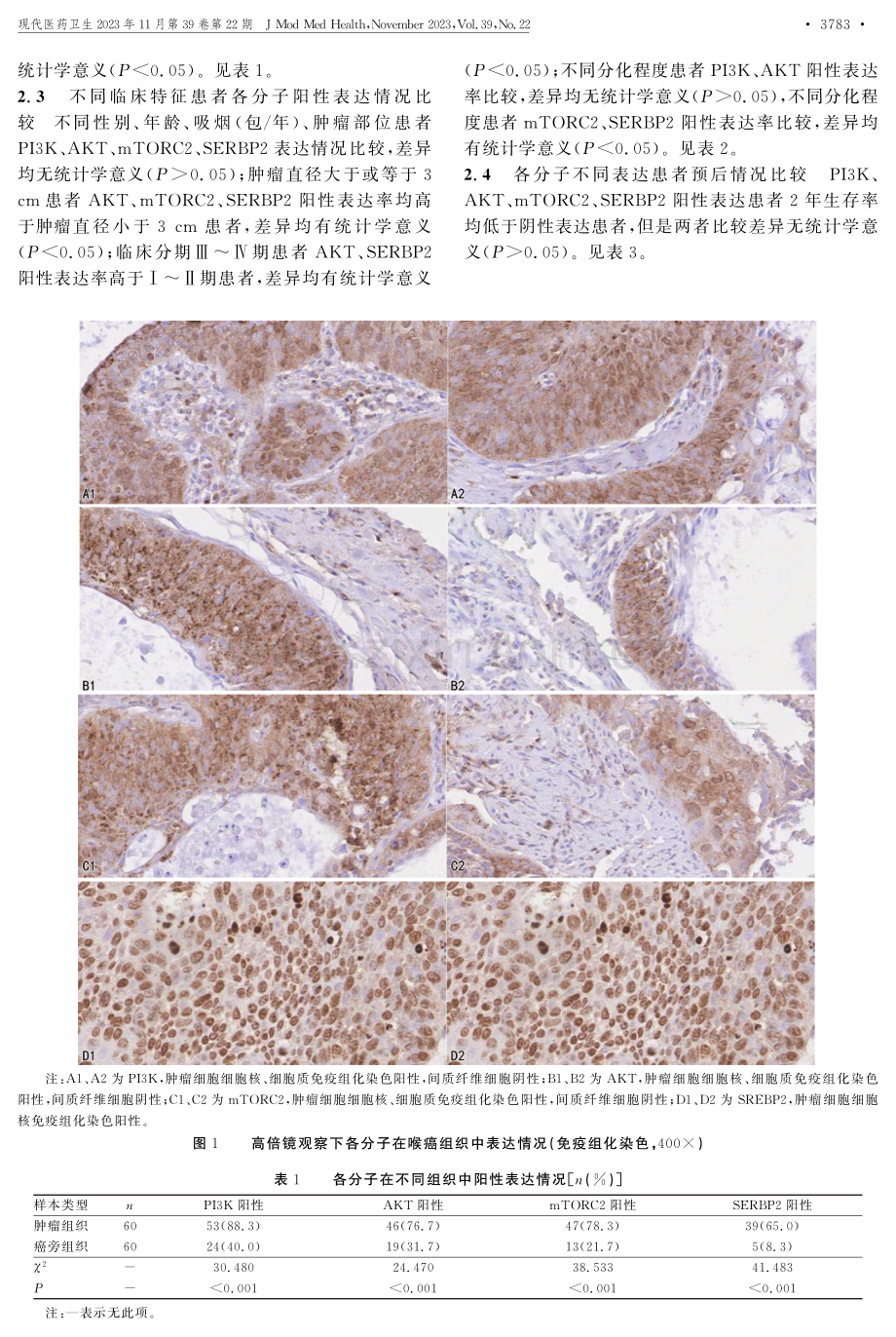 SREBP2及PI3K_Akt_mTORC2在喉癌中的表达及相关性研究.pdf_第3页