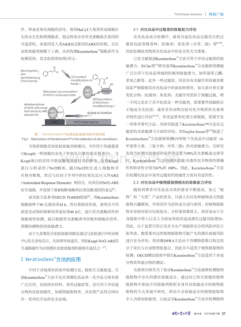 KeratinoSensTM方法在化妆品皮肤致敏性评价中的研究进展.pdf_第2页