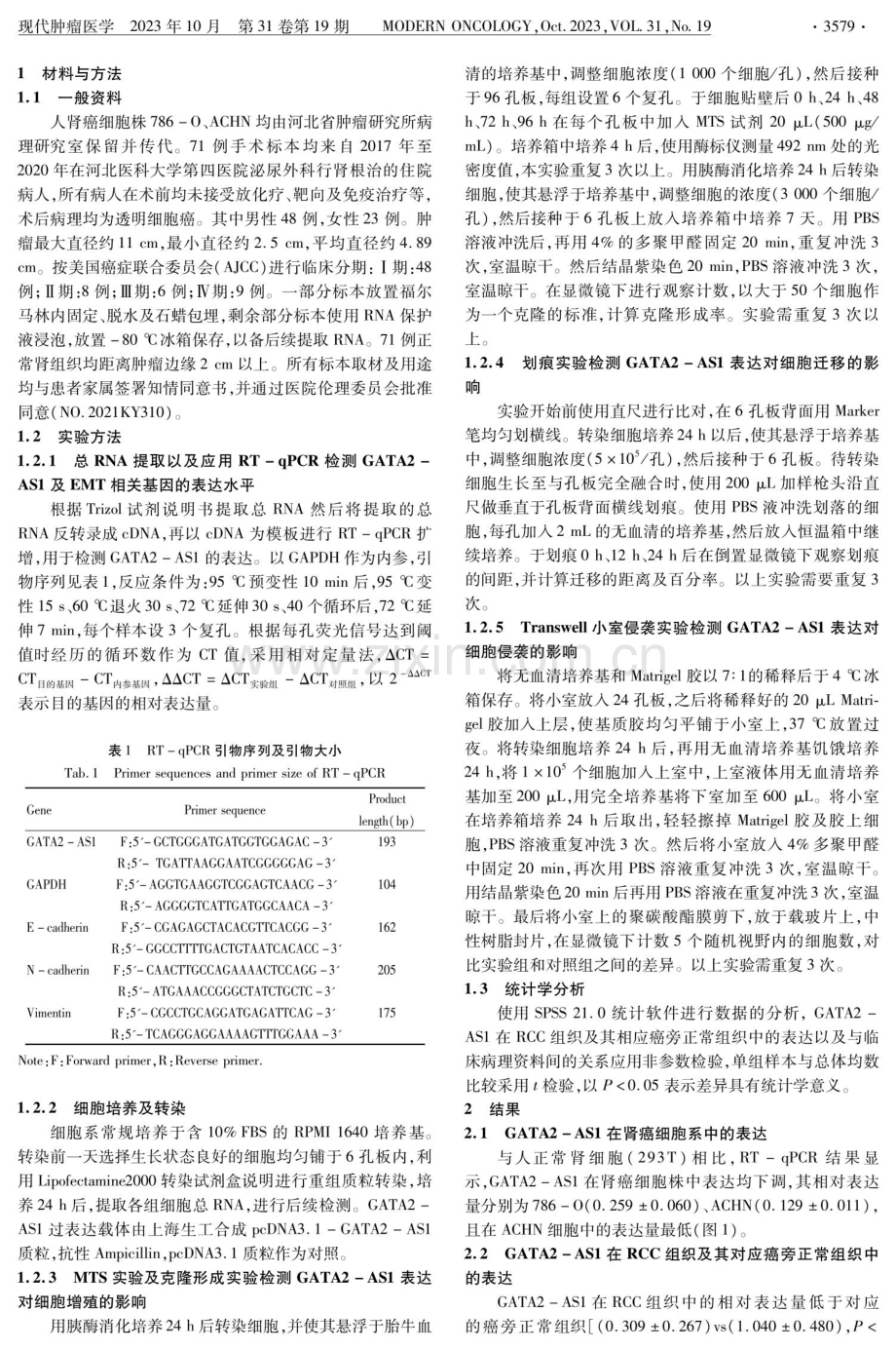 LncRNA GATA2-AS1在肾癌组织中的表达及其对肾癌细胞ACHN恶性生物学行为的影响.pdf_第3页