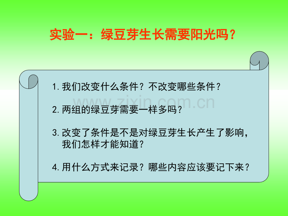 五年级上册科学3观察绿豆芽的生长教学课件.pptx_第3页