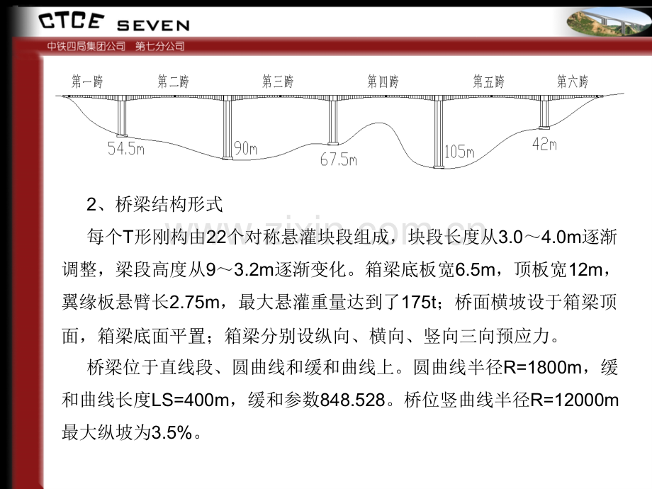 特大桥梁部施工测量技术.pptx_第2页