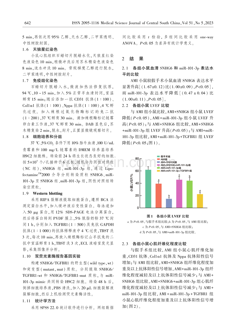 SNHG6靶向miR-101_TGFBR1促进AMI小鼠左心室心肌纤维化.pdf_第3页