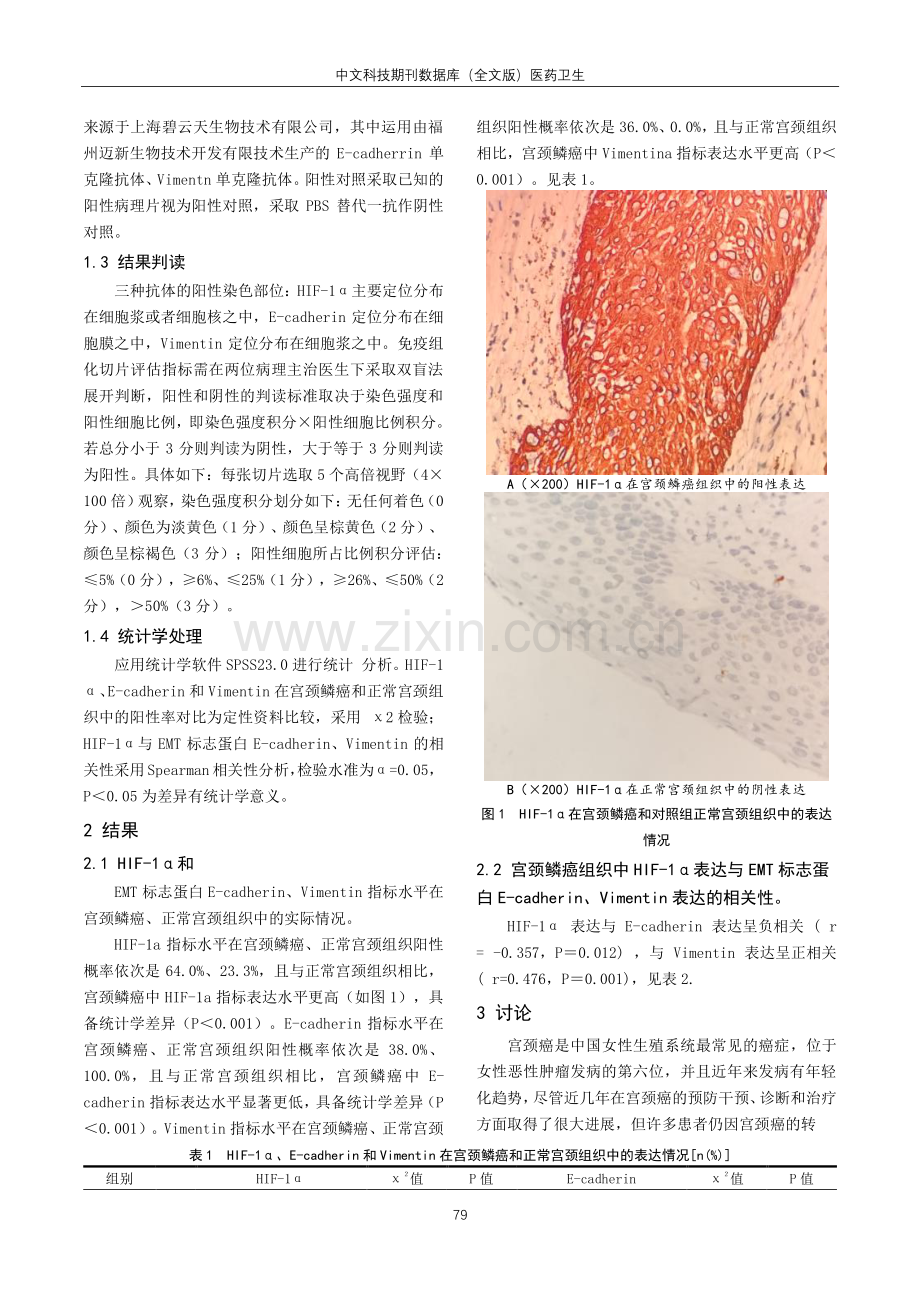 HIF-1α和上皮间质转化相关蛋白在宫颈癌中的研究分析.pdf_第2页