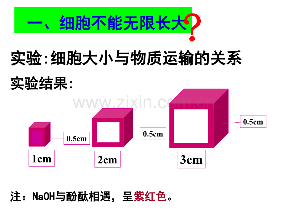 细胞增殖第一轮复习公开课.pptx_第3页