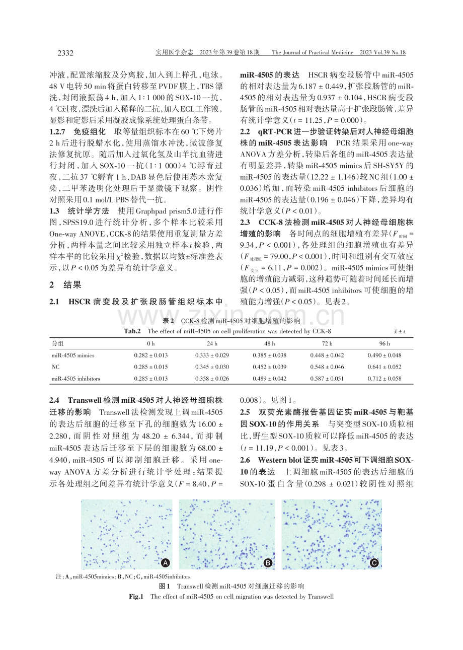 miR-4505靶向SOX-10在先天性巨结肠中的作用及机制.pdf_第3页