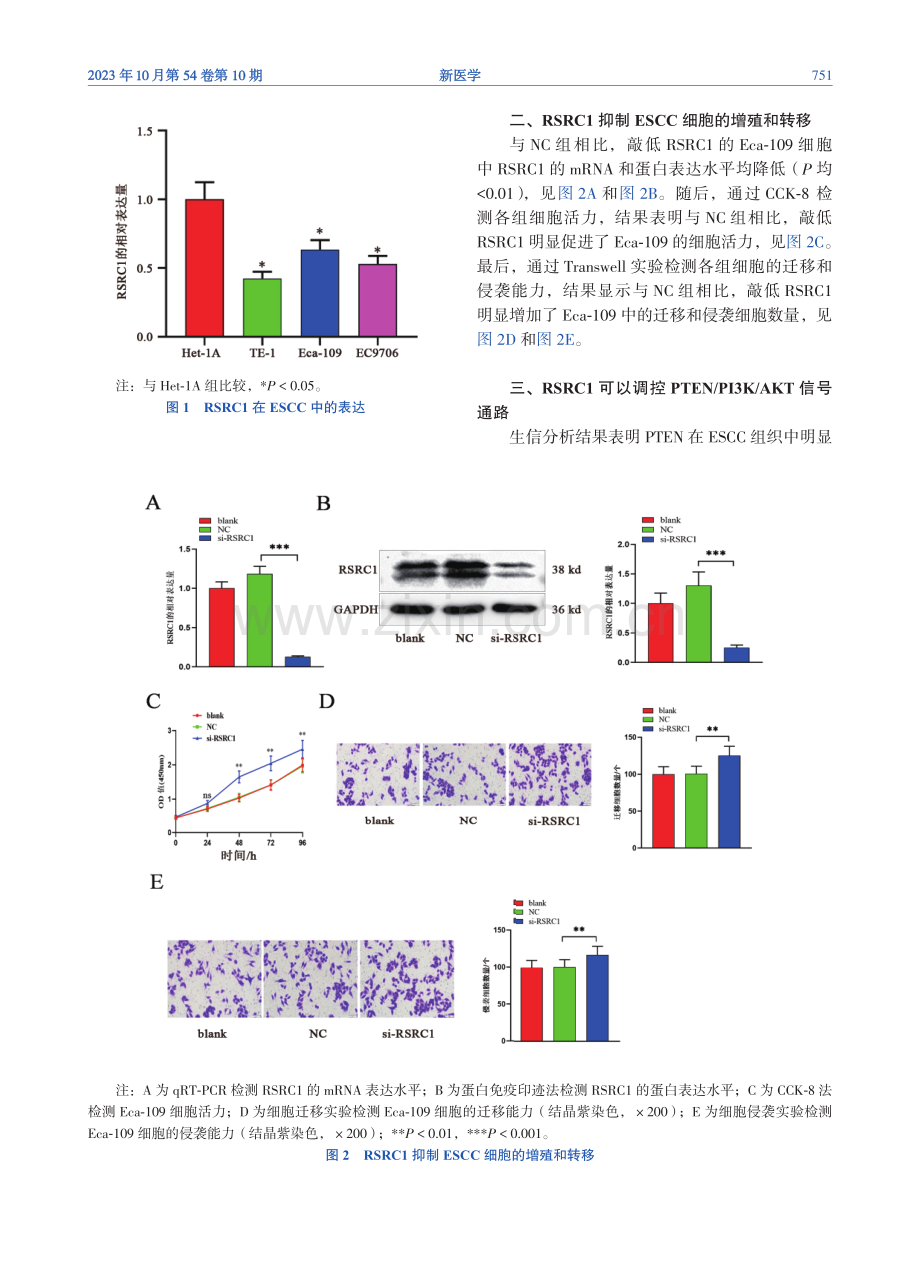 RSRC1通过靶向调控PTEN_PI3K_AKT通路抑制食管鳞状细胞癌的增殖和转移.pdf_第3页