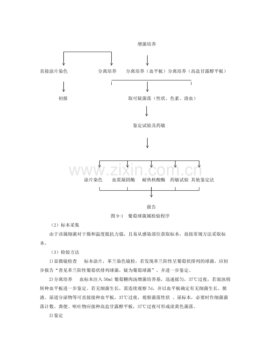 上海交大网络课程检验微生物讲义32.doc_第3页