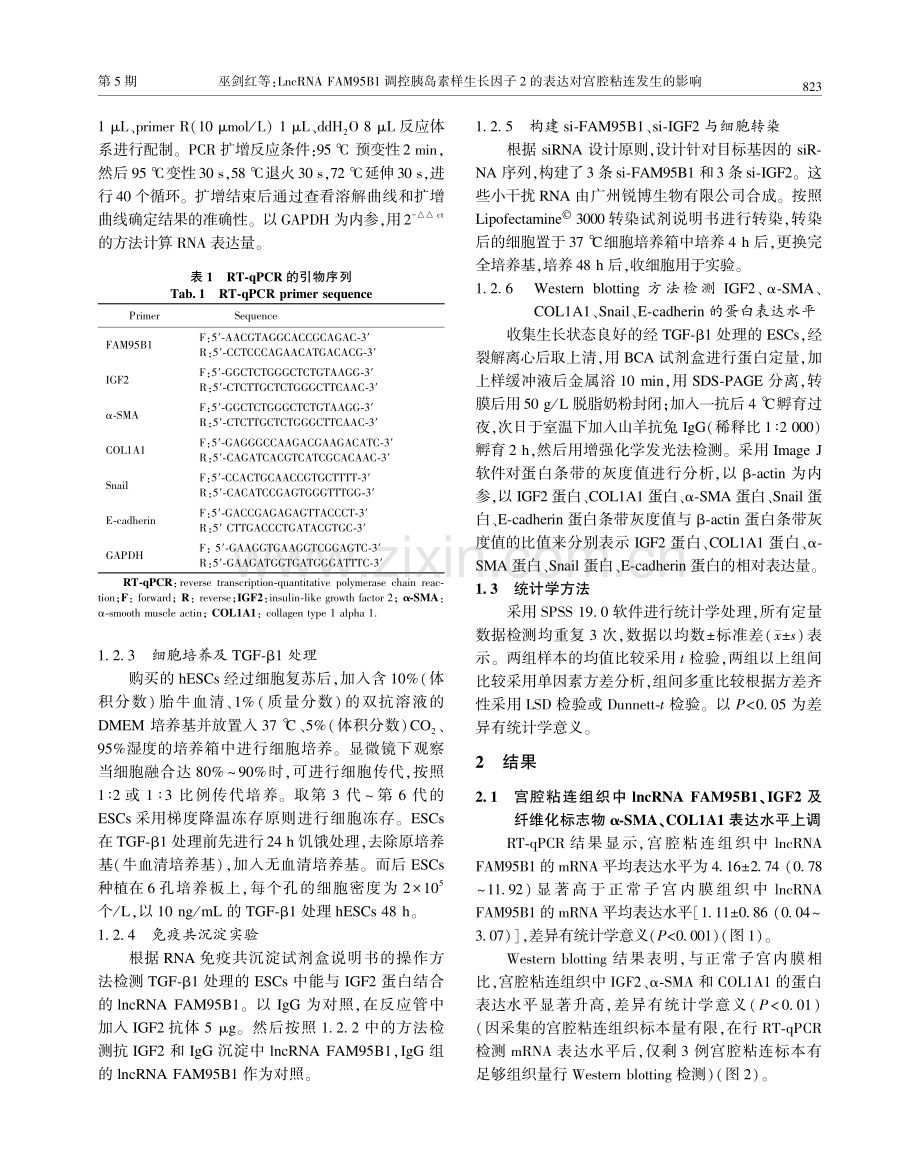 LncRNA FAM95B1调控胰岛素样生长因子2的表达对宫腔粘连发生的影响.pdf_第3页