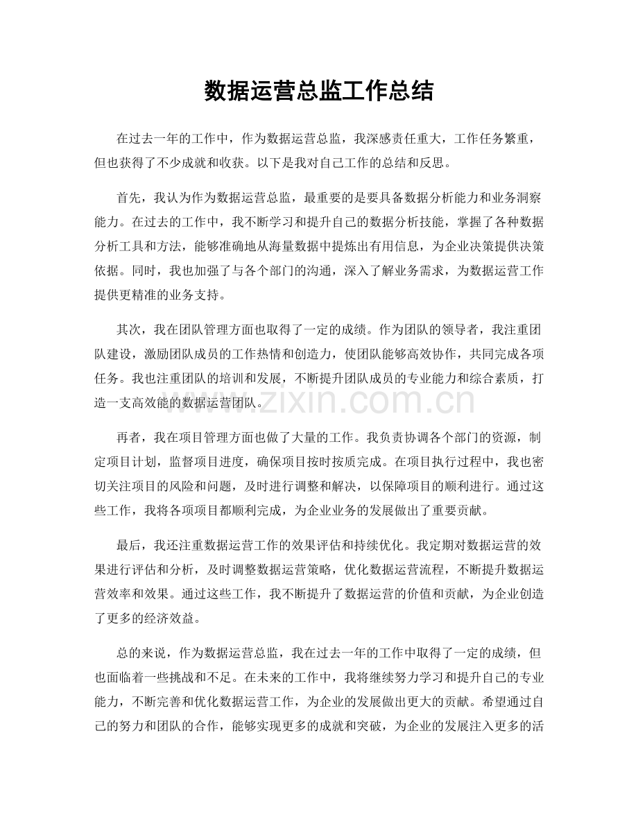 数据运营总监工作总结.docx_第1页